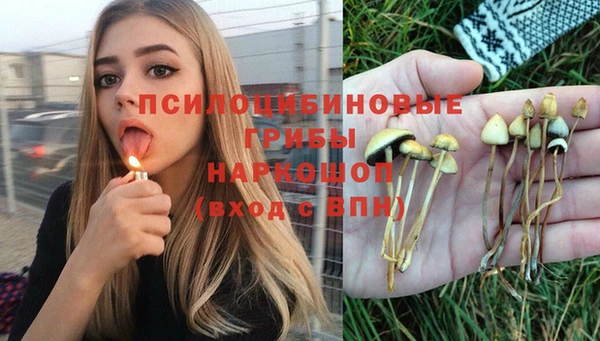 не бодяженный Богородск